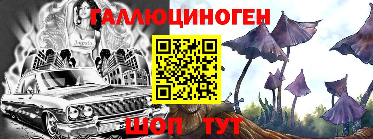 купить наркотик  Псилоцибиновые грибы Psilocybe  Вход с VPN  Гурьевск 